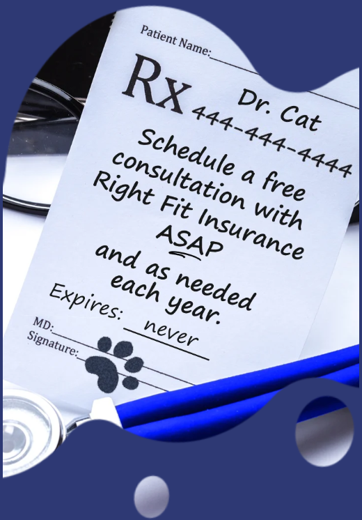 Prescription pad with humorous text written by Doctor Cat, a blue pen, and a stethoscope