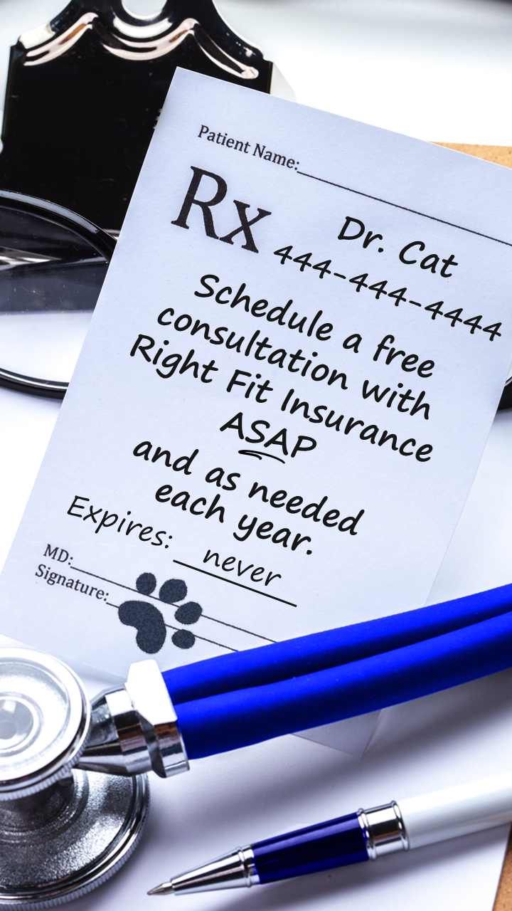 Prescription pad with humorous text written by Doctor Cat, a blue pen, and a stethoscope